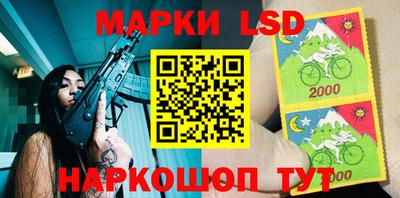 гашик Новодвинск