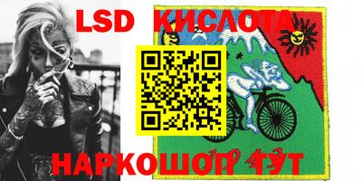 шишки Новозыбков