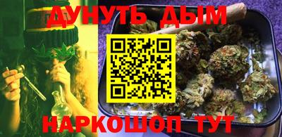 шишки Новозыбков