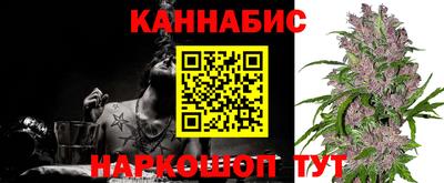 гашик Новодвинск