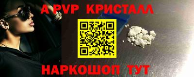 гашик Новодвинск