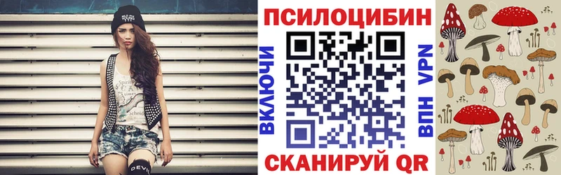магазин продажи   Партизанск  Псилоцибиновые грибы Psilocybe 