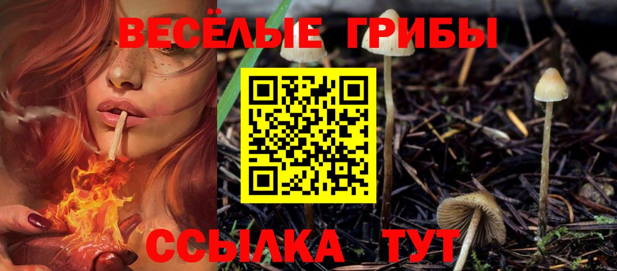 Партизанск  Галлюциногенные грибы мицелий  Вход с VPN  Псилоцибиновые грибы прущие грибы 