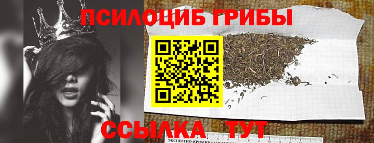 Псилоцибиновые грибы MAGIC MUSHROOMS Партизанск