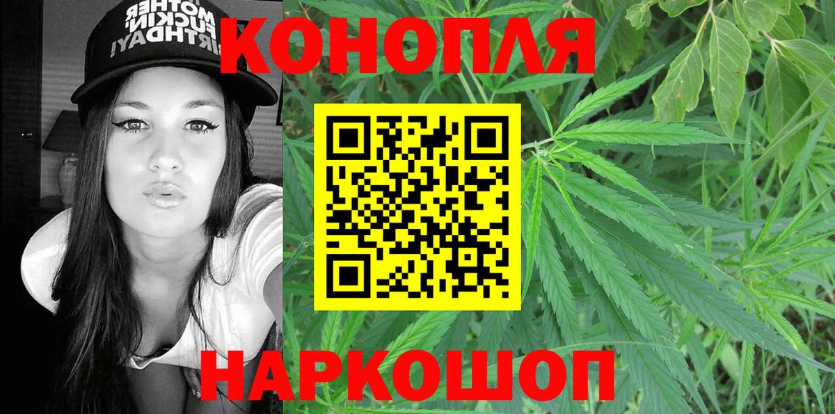 Бошки Шишки план Партизанск